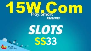 Premium Interface SS33