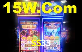 SS33