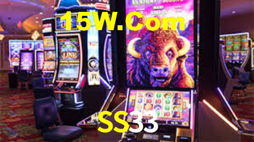 SS33